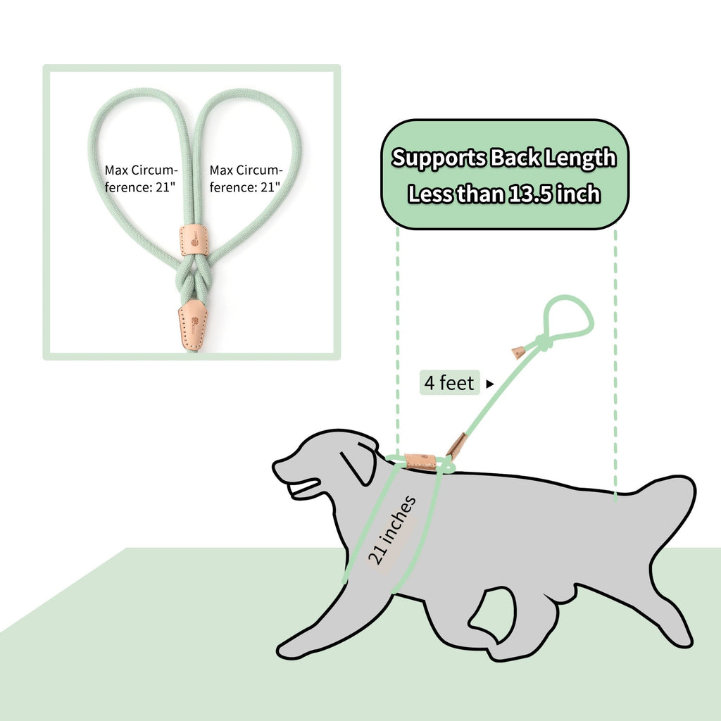 No Pull All-in-One Training Leash for Puppies & Small Dogs, Adjustable Slip Lead with Soft Rope, Secure Control for Walking & Training – Dog Slip Leash and - product image 5