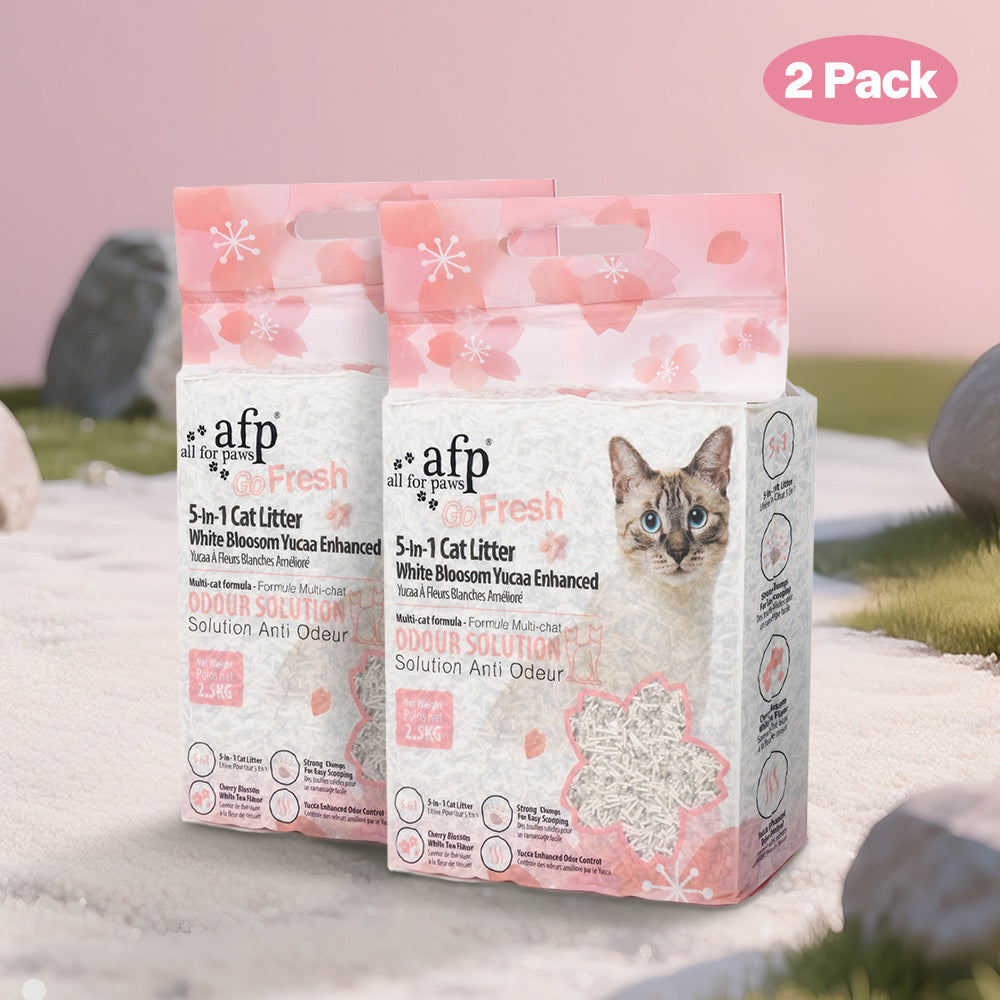 All For Paws White Blossom Yucca Enhanced Formula, Low Dust Rapid Clumping Odor Control, Natural Plant-Based Cat Litter, 6 Pack | Tofu Cat Litter 5-in-1 - product image