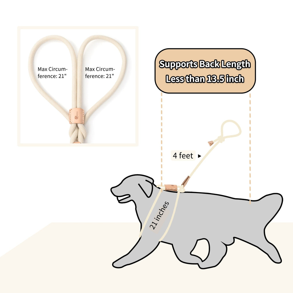 No Pull All-in-One Training Leash for Puppies & Small Dogs, Adjustable Slip Lead with Soft Rope, Secure Control for Walking & Training – Dog Slip Leash and - product image 6