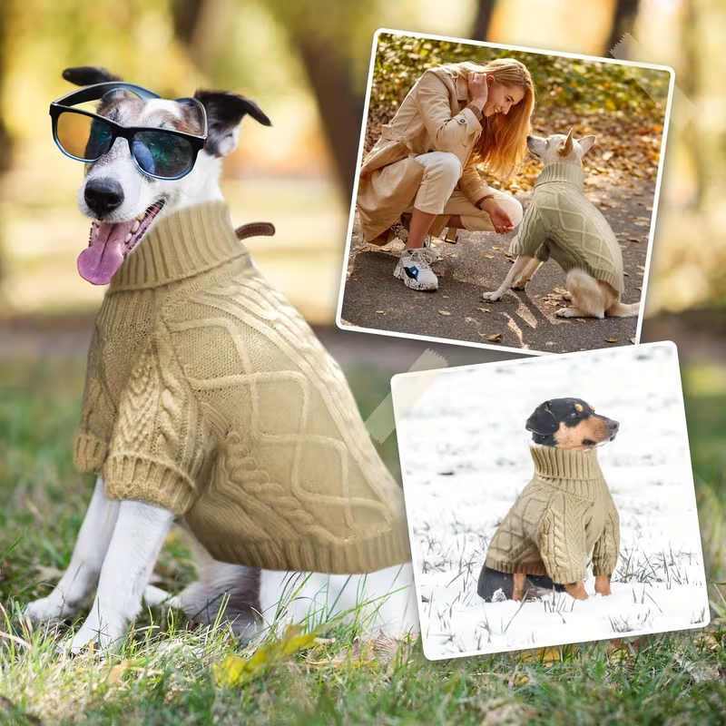 Dog Sweater Turtleneck Warm Knit Pullover with Soft Long Sleeves for Small Medium Breeds | Pink Violet Light Purple Light Green Greenish Yellow | All-Season - product image 9