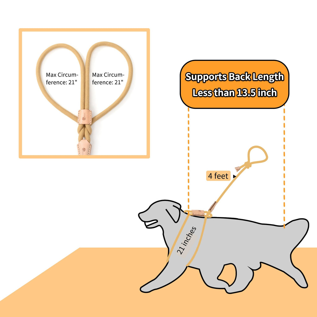 No Pull All-in-One Training Leash for Puppies & Small Dogs, Adjustable Slip Lead with Soft Rope, Secure Control for Walking & Training – Dog Slip Leash and - product image 7