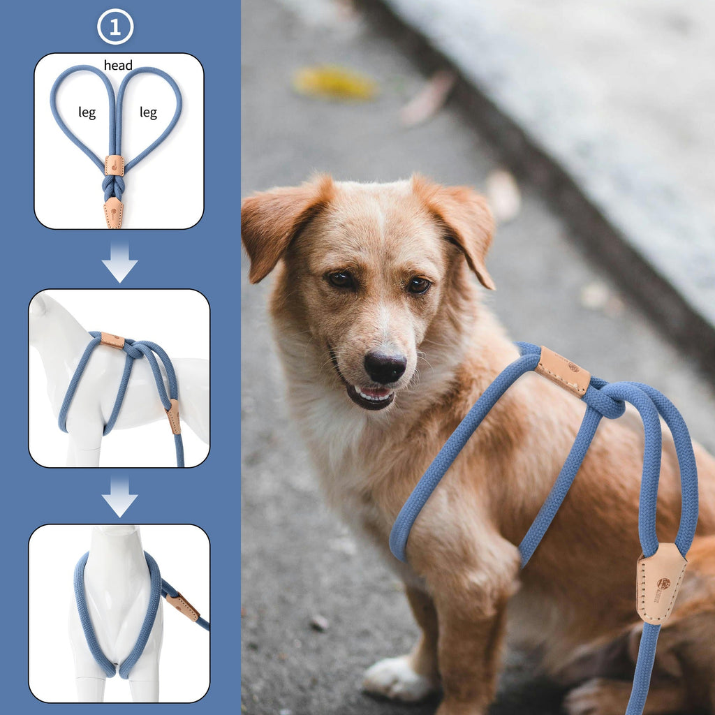 No Pull All-in-One Training Leash for Puppies & Small Dogs, Adjustable Slip Lead with Soft Rope, Secure Control for Walking & Training – Dog Slip Leash and - product image 35