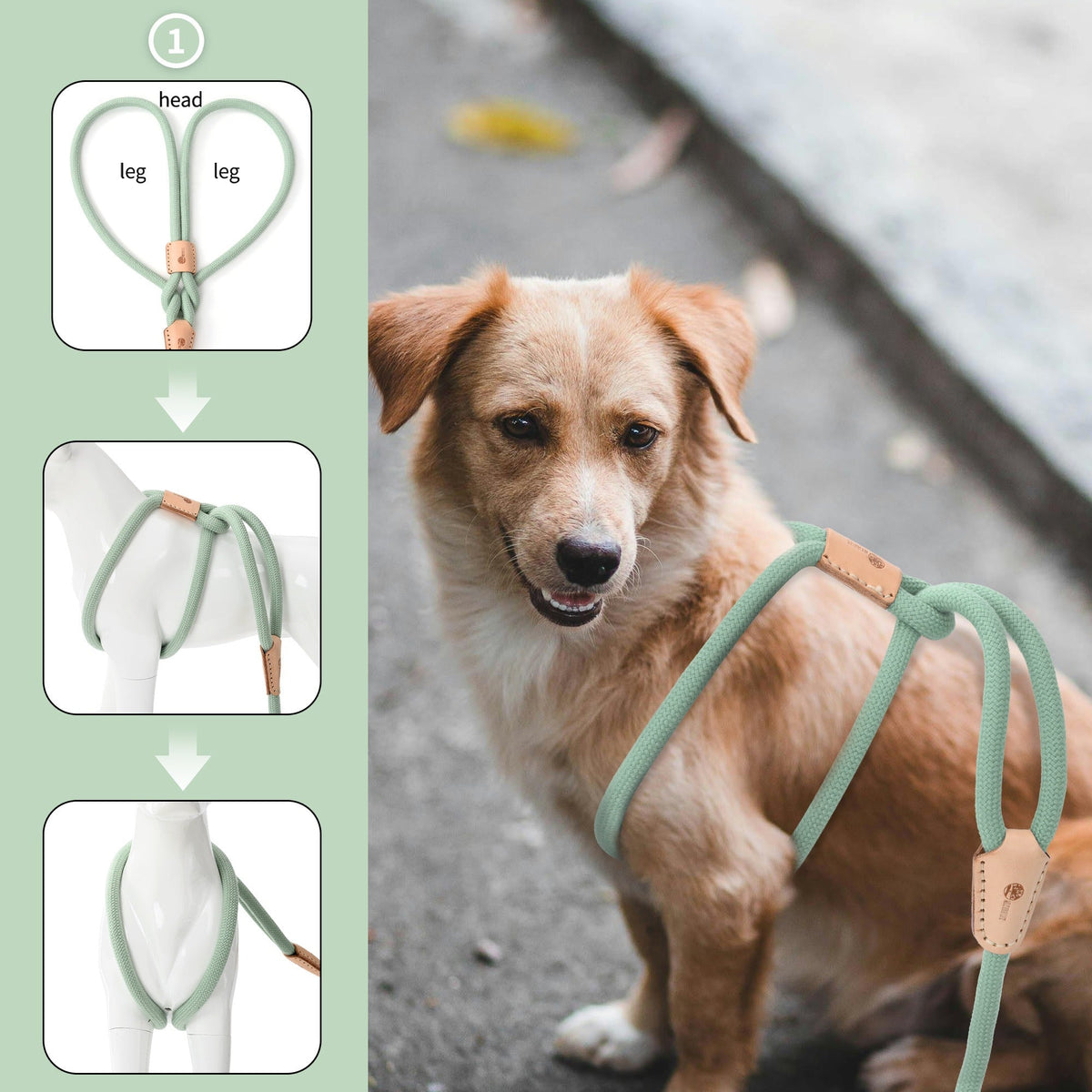 No Pull All-in-One Training Leash for Puppies & Small Dogs, Adjustable Slip Lead with Soft Rope, Secure Control for Walking & Training – Dog Slip Leash and - product image 37
