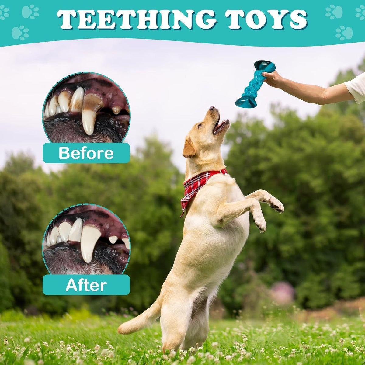 Tough Durable Dog Bone for Super Chewers, Long Lasting Chew Toys for Medium Large Breed Dogs, Teeth Cleaning & Boredom Relief | Indestructible Dog Chew Toy - product image 7