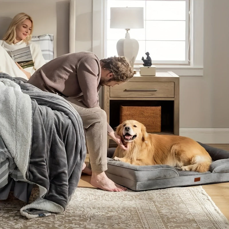 Orthopedic Dog Bed with Removable Washable Cover – High-Density Foam Dog Sofa Couch Bed, 4-Sided Bolster, Nonskid Bottom, Soft Flannel Lining, Available in M - product image 11