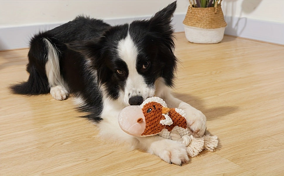Squeaky Plush Cow Dog Toy with Crinkle Paper | Interactive Tug of War Chew Toy for Small Medium Large Dogs, Cute Cattle Design Washable Pet Toy for Fetch Play - product image 11