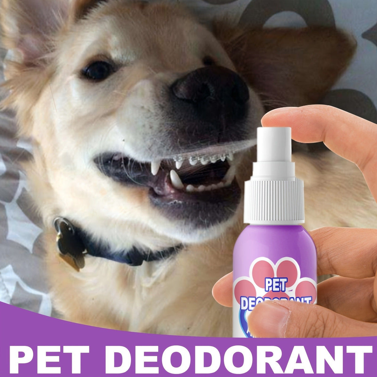 Pet Dental Spray for Dogs & Cats | Teeth Cleaning & Bad Breath Freshener, No-Brush Oral Care Spray for Plaque & Tartar Control, Safe Daily Use - product image 4