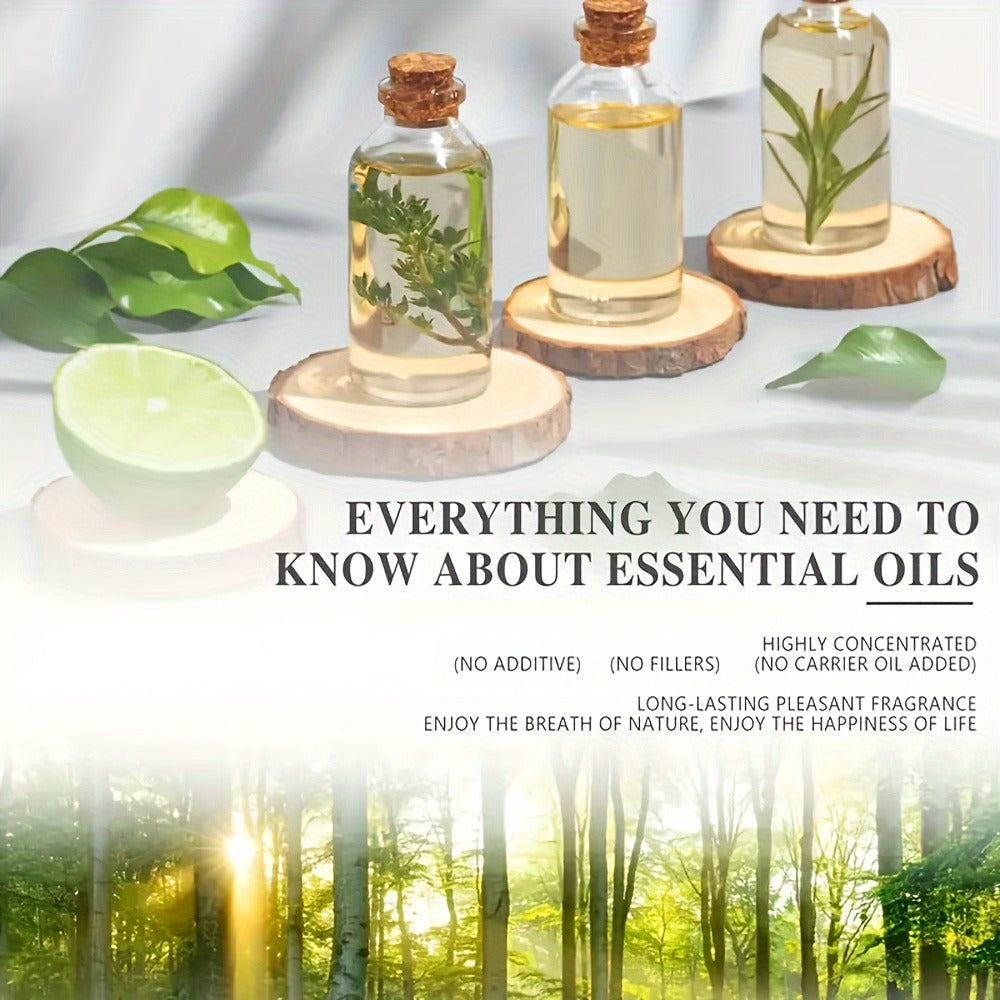 Sandalwood Essential Oil 100% Pure Undiluted 100ml — Warm Woody Grounding Scent for Aromatherapy Diffuser Meditation Yoga Massage Hair Skin Nail Care Relaxation Body Oil Women Men - product image 6