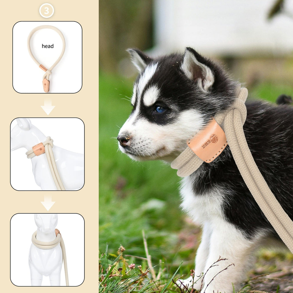 No Pull All-in-One Training Leash for Puppies & Small Dogs, Adjustable Slip Lead with Soft Rope, Secure Control for Walking & Training – Dog Slip Leash and - product image 40