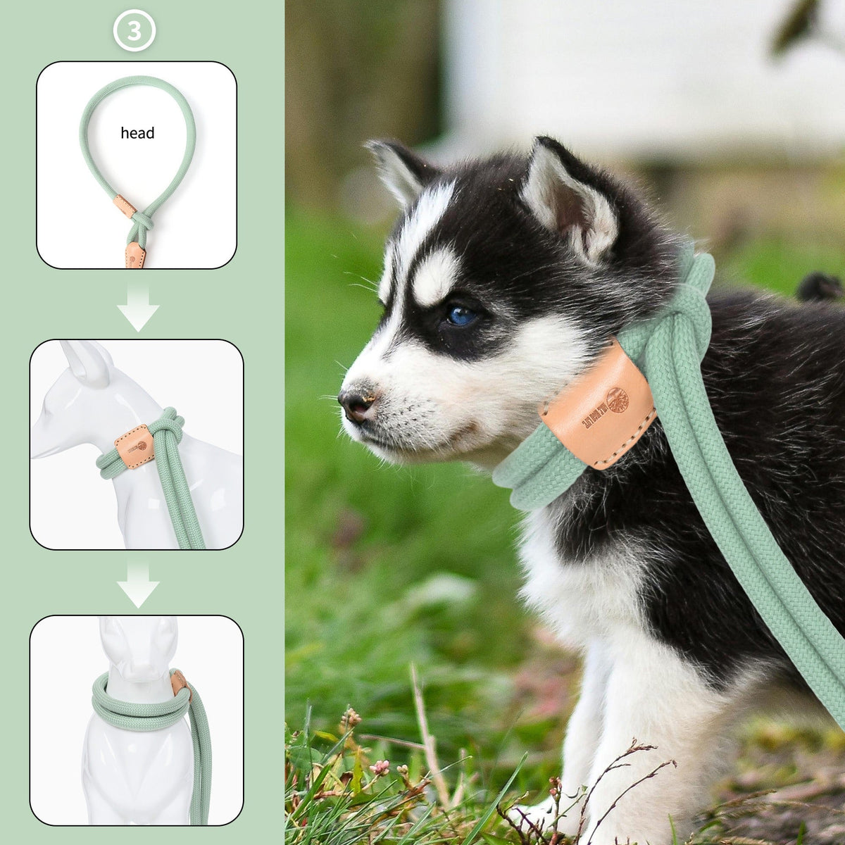 No Pull All-in-One Training Leash for Puppies & Small Dogs, Adjustable Slip Lead with Soft Rope, Secure Control for Walking & Training – Dog Slip Leash and - product image 24