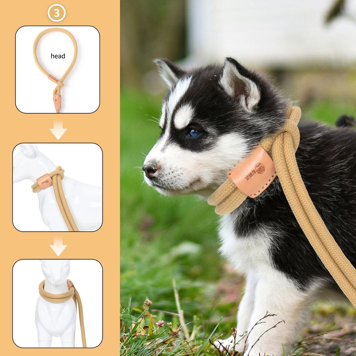 No Pull All-in-One Training Leash for Puppies & Small Dogs, Adjustable Slip Lead with Soft Rope, Secure Control for Walking & Training – Dog Slip Leash and - product image 25