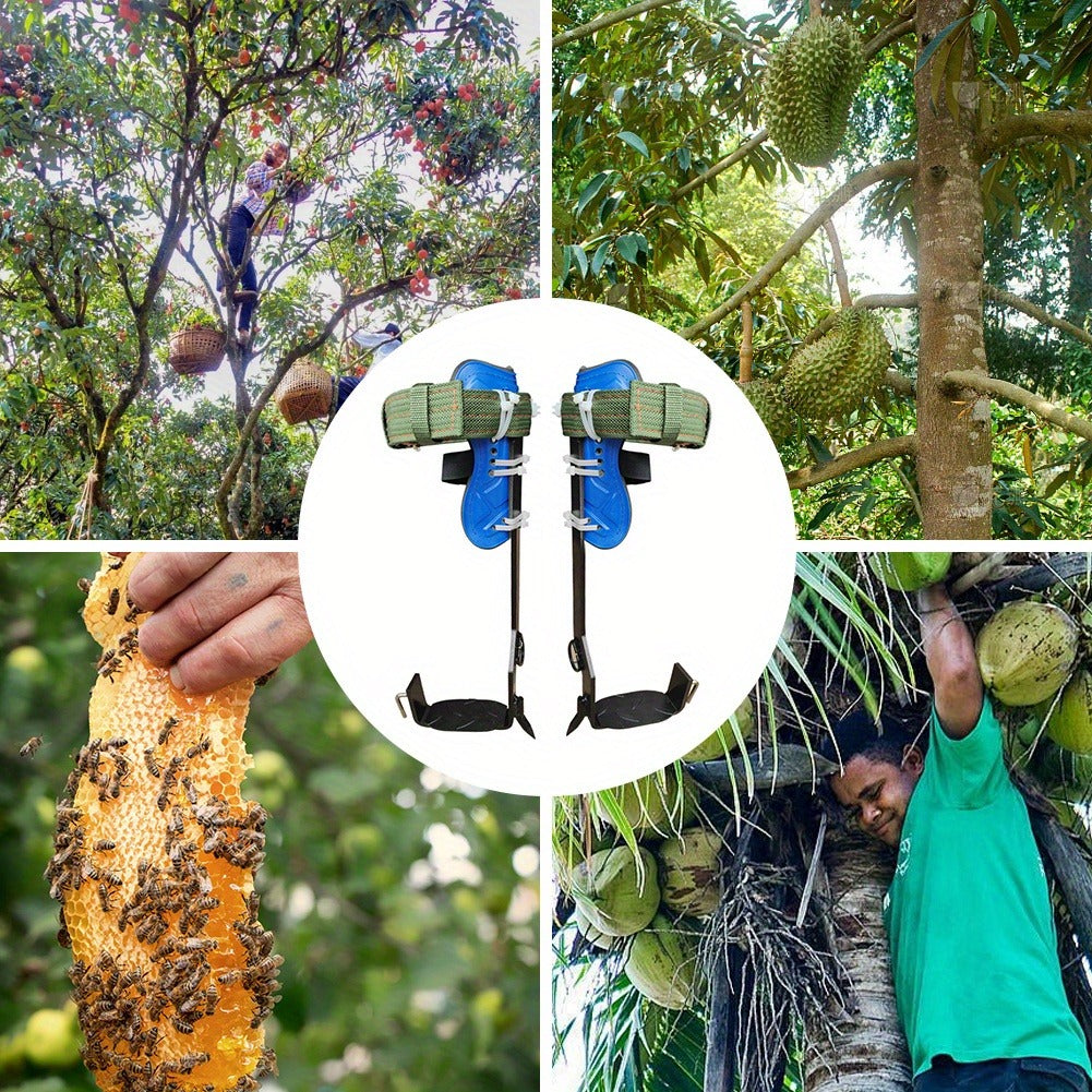 Tree Climbing Spikes Gear Set with Ankle Straps Travel-friendly Climbing Tools for Tree Maintenance Fruit Harvesting Hunting Observation Outdoor Work