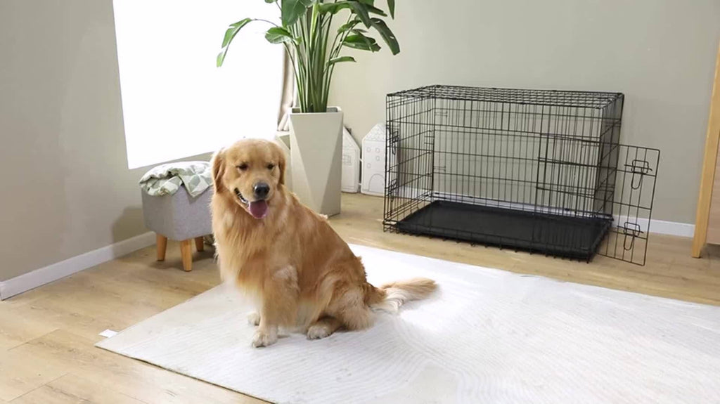 Folding Metal Wire Dog Cage with Leak-Proof Tray, Indoor Outdoor Travel Pet Kennel for Small Medium Large Dogs, 5 Sizes | Dog Crate with Divider Panel & Double - product image 12