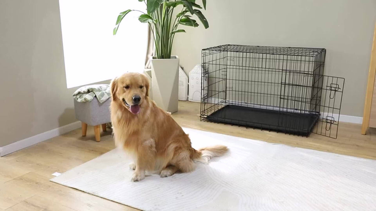 Folding Metal Wire Dog Cage with Leak-Proof Tray, Indoor Outdoor Travel Pet Kennel for Small Medium Large Dogs, 5 Sizes | Dog Crate with Divider Panel & Double - product image 12