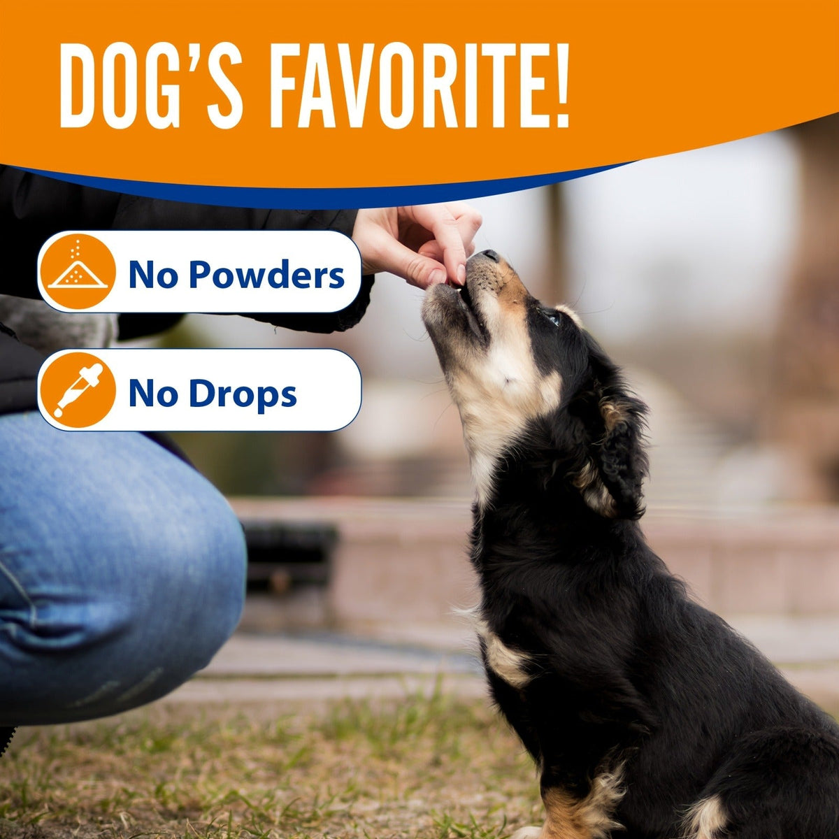 Chicken Flavor Soft Chews with Glucosamine, Chondroitin, MSM & Vitamins for Hip & Joint Health, Mobility Support for Dogs of All Sizes & Ages | Dog Glucosamine - product image 2