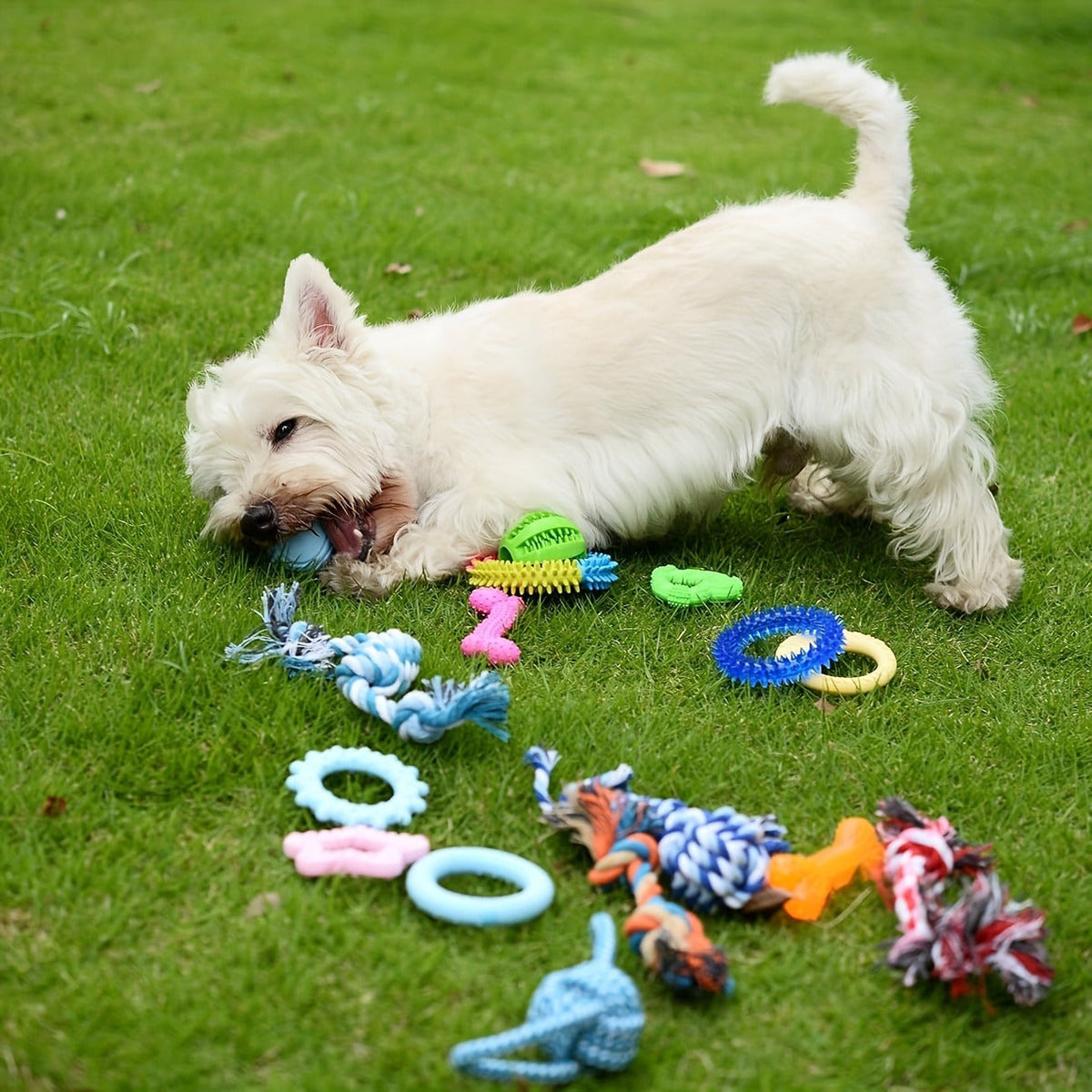 Puppy Teething Chew Toys Pink Bundle 5 or 8 Pack Soft Dog Toothbrush Toy & Interactive Chew Balls for Small Dogs – Cute Puppy Toy Set for Teething Relief - product image 10