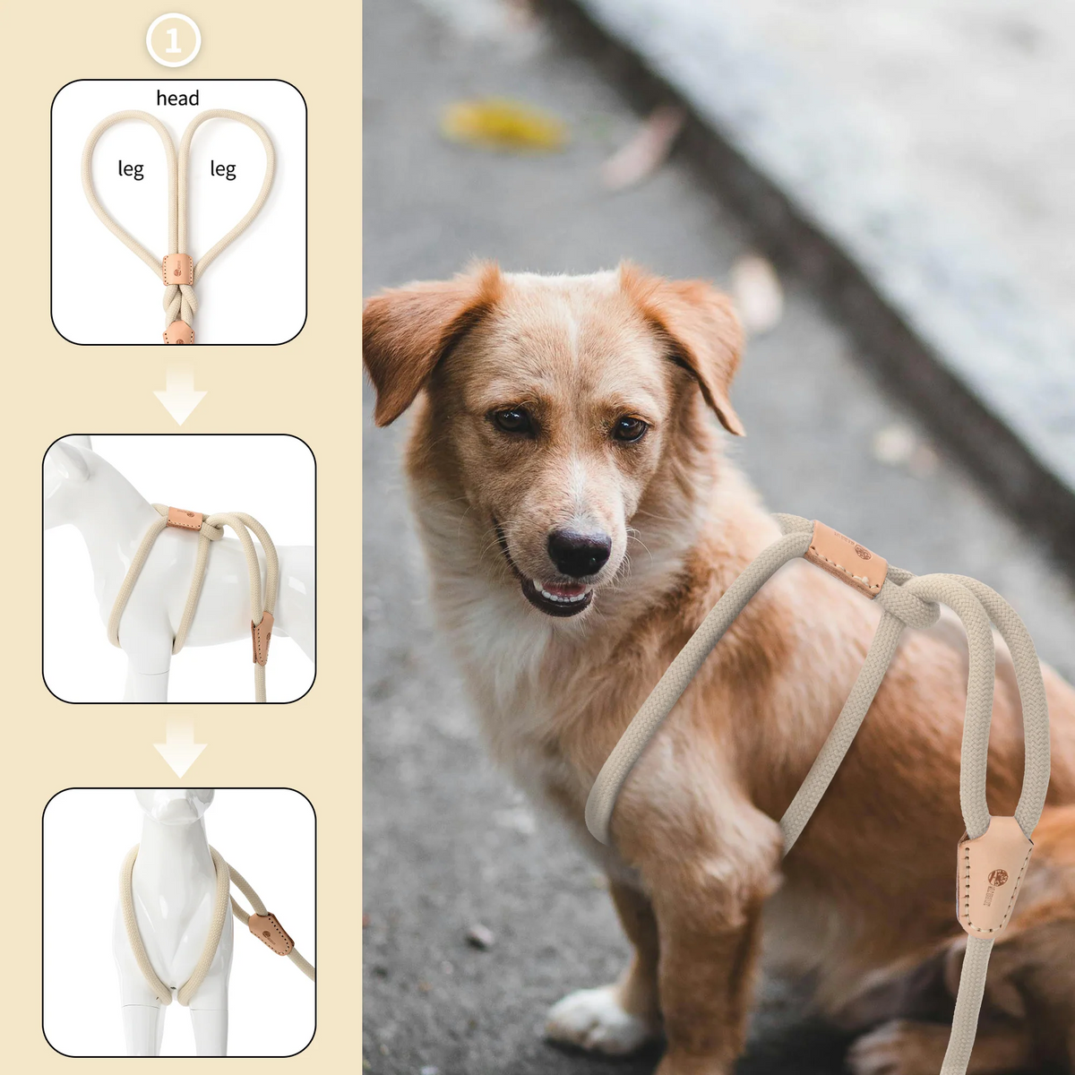 No Pull All-in-One Training Leash for Puppies & Small Dogs, Adjustable Slip Lead with Soft Rope, Secure Control for Walking & Training – Dog Slip Leash and - product image 11
