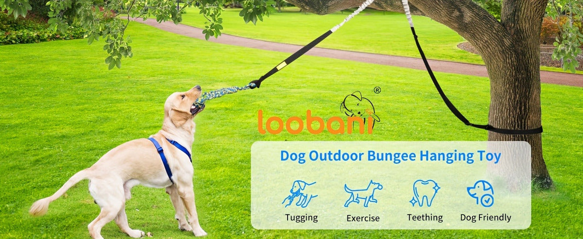 Bungee Dog Tug Toy Outdoor Hanging from Tree Height Adjustable 19.7 Ft Elastic Cord Tether with Chew Rope | Solo & Interactive Exercise Play for All Dog Breeds - product image 8