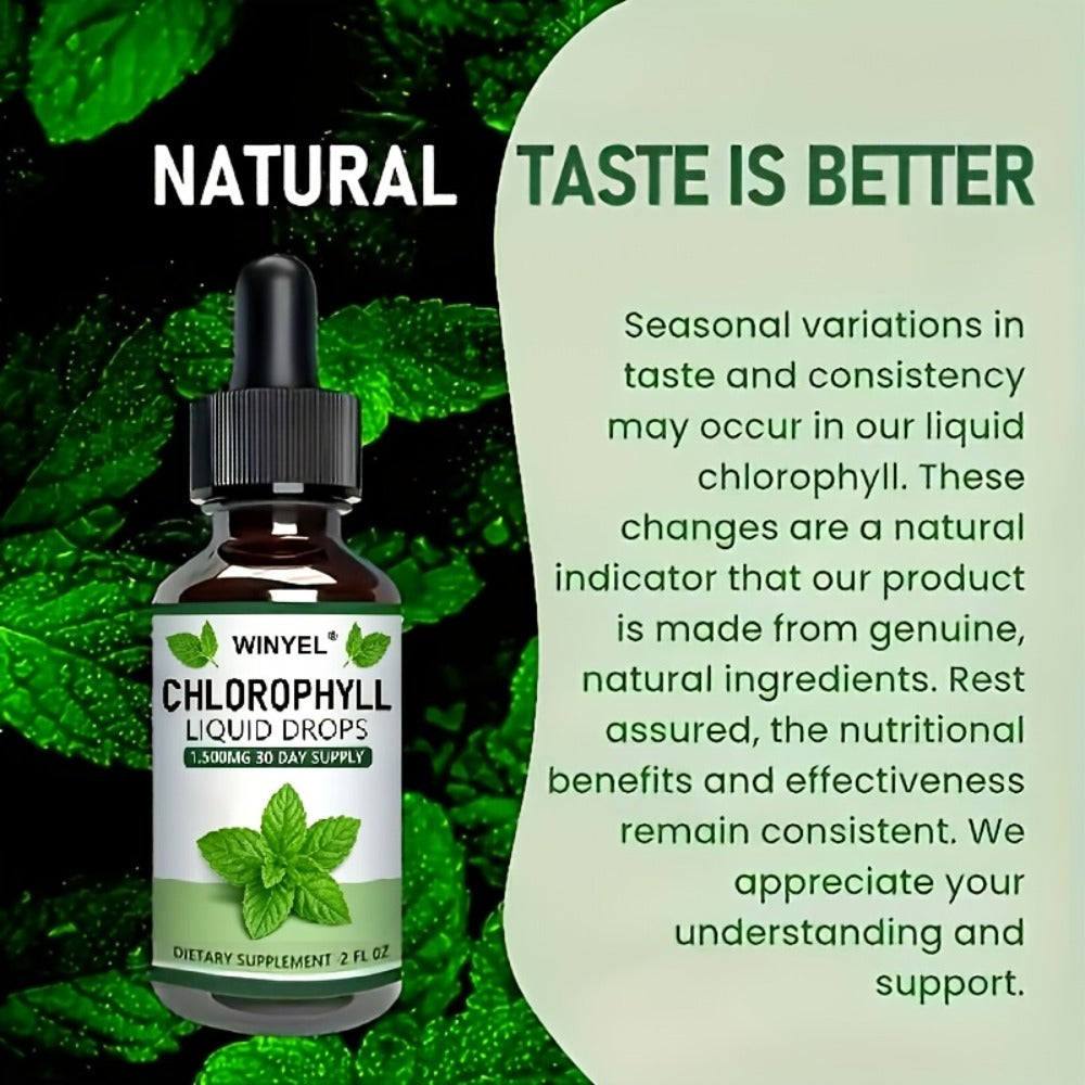 Liquid Chlorophyll Drops Supplement for Internal Deodorant Body Odor Control Detox Skin Clarity & Natural Energy — Alkalizing Antioxidant Plant-Based Daily Wellness for Women & Men - product image 4