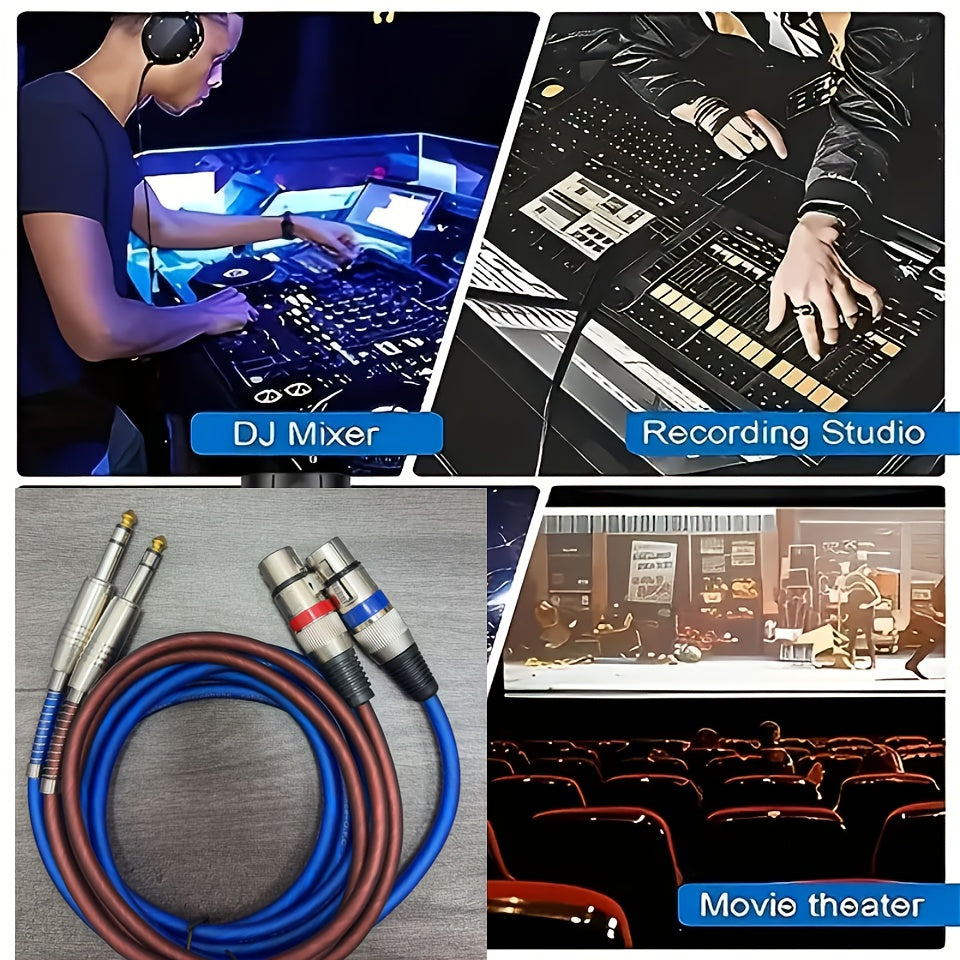 2-Pack High-Quality Blue-Brown 6.5mm to XLR Female Cable | Available in 3 Feet (1 Meter) and 10 Feet (3 Meters), Tinned Copper Core, Suitable for Microphone Mixers, Recording Studios, Stage Lighting