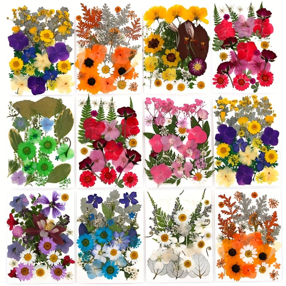 Dried Pressed Flowers Kit 500pcs – Natural Real Flower Petals & Leaves for Resin Art, Nail Art, Jewelry Making, Scrapbooking, Phone Case Decor, Candle Making & DIY Floral Crafts - product image 3