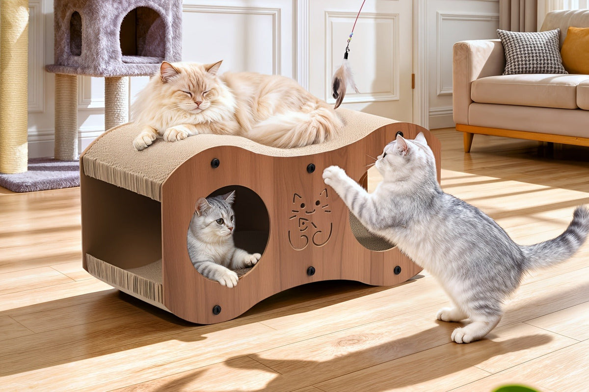 Cat Scratching Post with Integrated Cat Bed – Sturdy Walnut Wood Base, 4-Season Woven Scratch Pad, Indoor Cat Scratcher Lounge for Scratching, Lounging & Play - product image 9