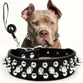 XXL, Black Pink Red Blue Purple | Rivet Dog Collar Bite Resistant with Leash Set, Heavy Duty Metal Buckle Pet Collar for Medium Large Dogs, Adjustable Sizes XS - product image 2