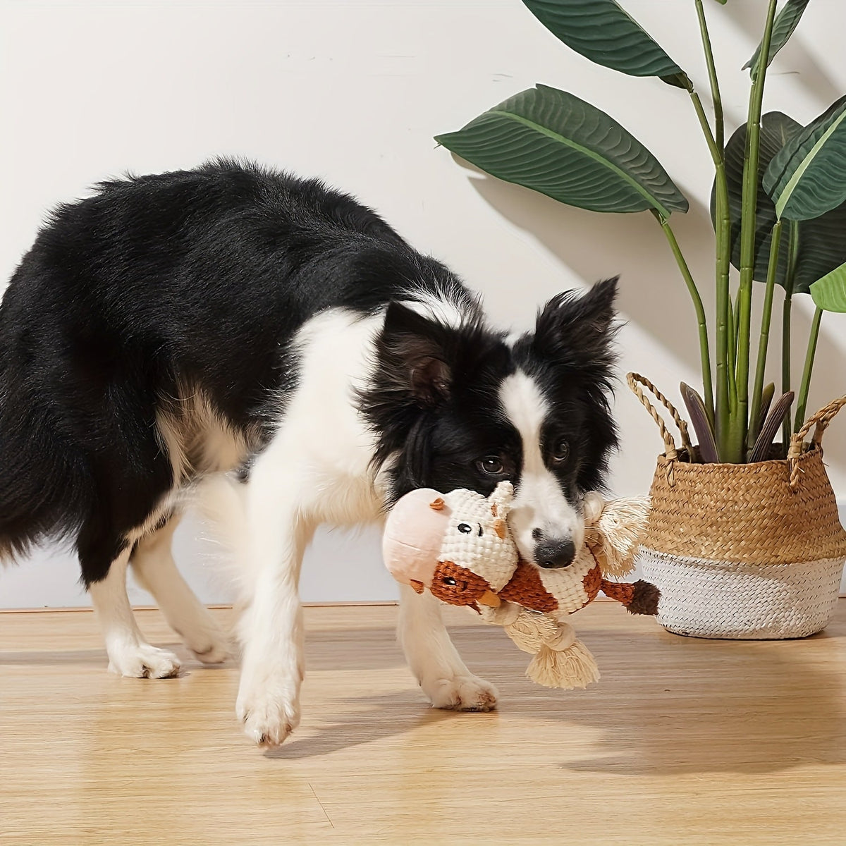 Squeaky Plush Cow Dog Toy with Crinkle Paper | Interactive Tug of War Chew Toy for Small Medium Large Dogs, Cute Cattle Design Washable Pet Toy for Fetch Play - product image 4