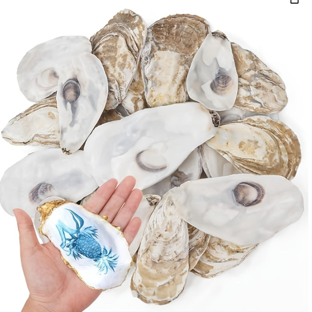 Natural Flat Oyster Shells for Crafts – 17pcs 3-5in Disk Shaped Sea Shells, Vase Filler, DIY Arts & Crafts, Christmas Ornaments, Home Decor, Beach Wedding Decoration - product image 3