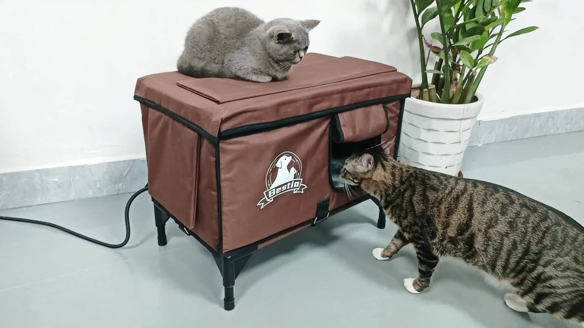 Heated Cat House 3-in-1 with Removable Warming Pad | Elevated Cat Bed for Indoor & Outdoor Cats | Chew-Resistant Cord | All-Season Cat Shelter & Condo | Double - product image 13