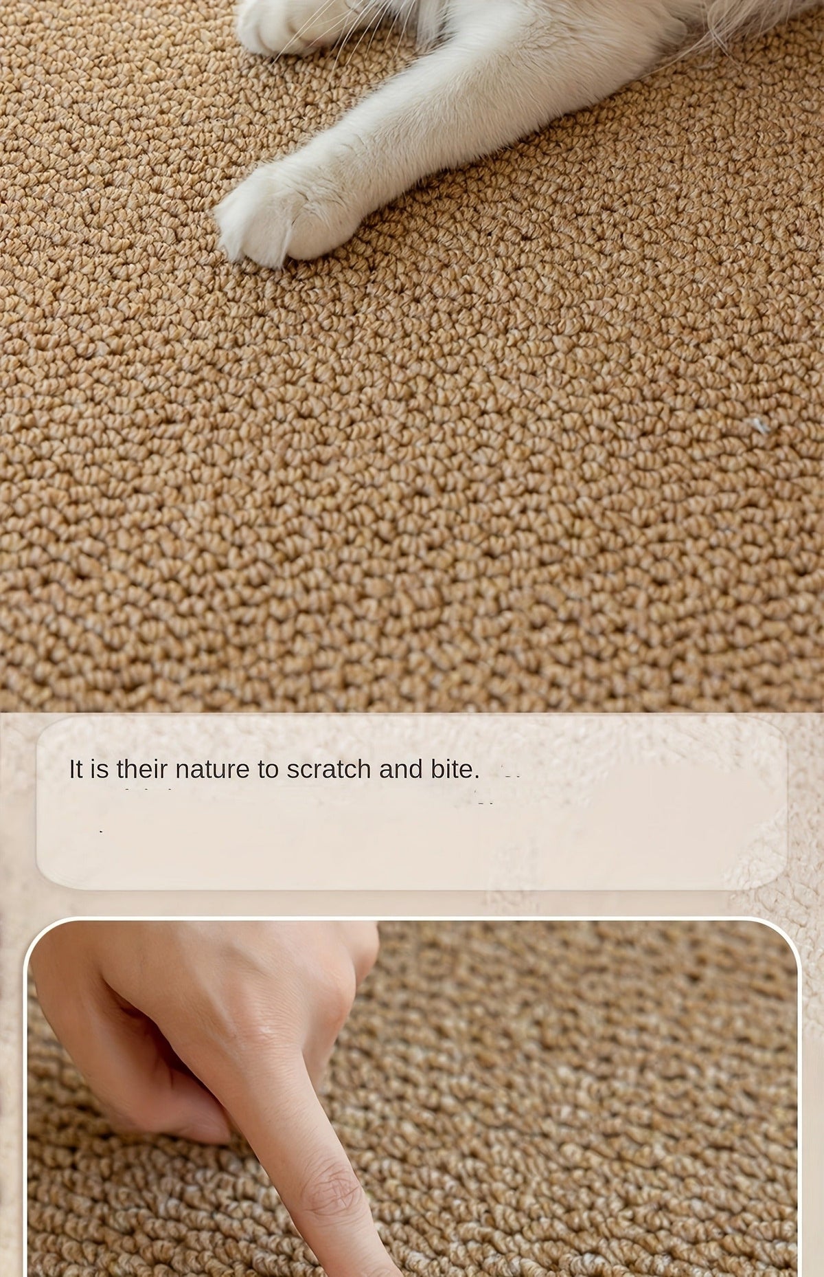 Cat Scratching Mat Natural Seagrass Pet Bed Pad Dog Crate Mat Feeding Mat Pineapple Weave 23x35 Inch Sturdy Washable Indoor Cat Rug Lounge - product image 6