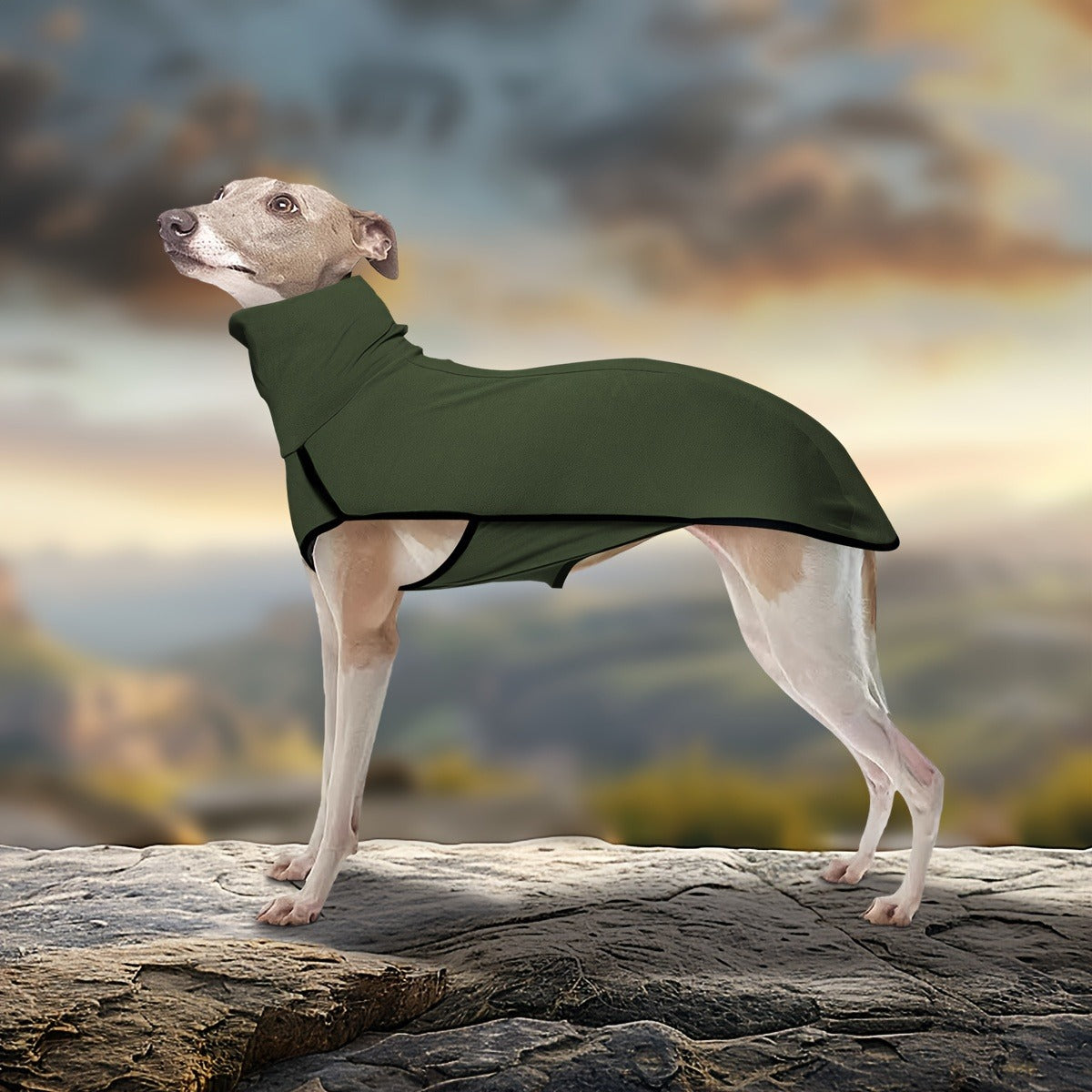 High Neck Dog Coat Warm Pullover – 4XL – Solid Color Woven Polyester Pet Jacket, Machine Washable, All-Season Fall & Winter Dog Apparel for Small Medium Large - product image 12