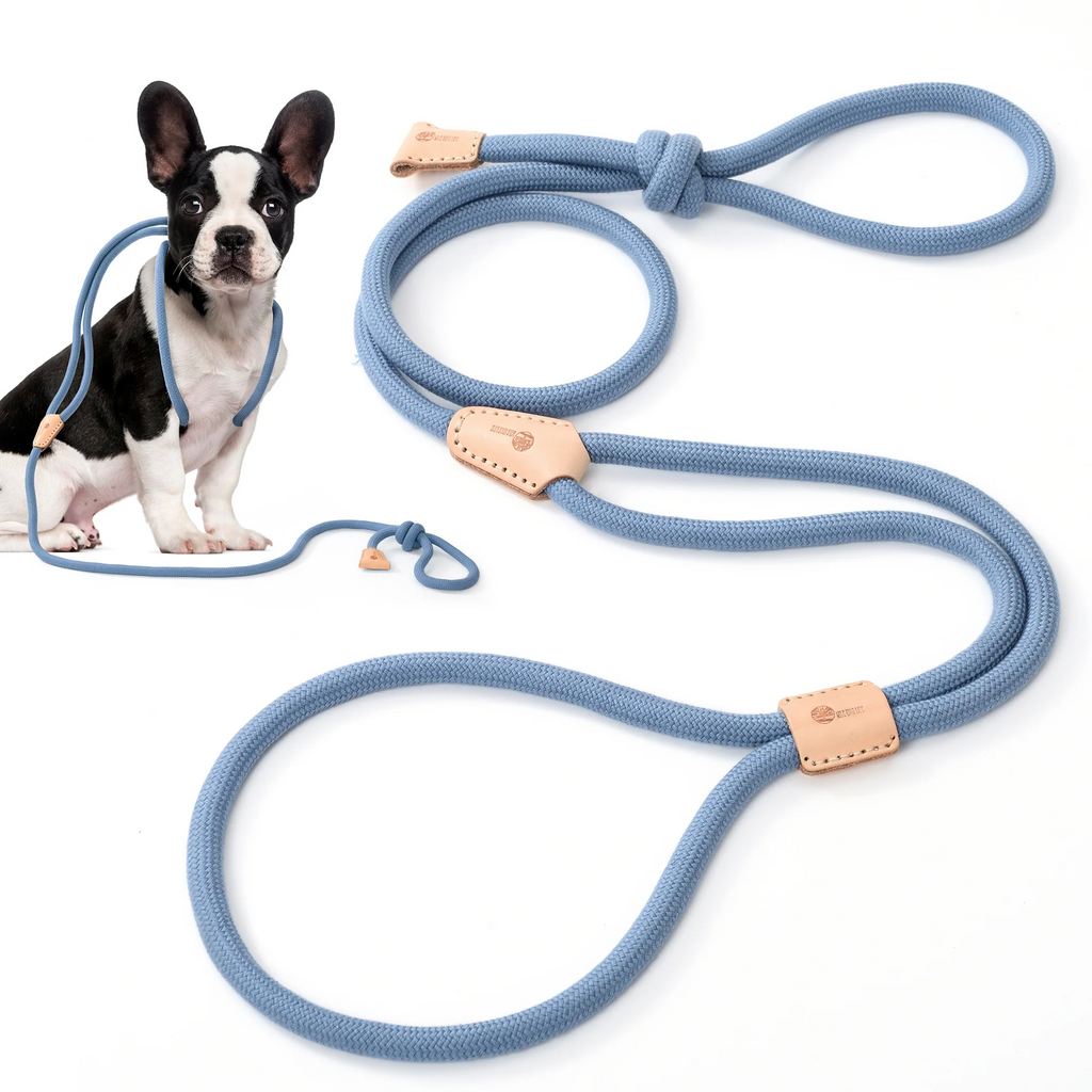 No Pull All-in-One Training Leash for Puppies & Small Dogs, Adjustable Slip Lead with Soft Rope, Secure Control for Walking & Training – Dog Slip Leash and - product image 12