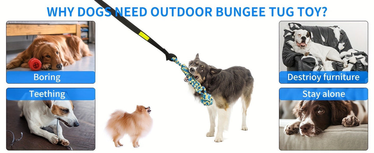 Bungee Dog Tug Toy Outdoor Hanging from Tree Height Adjustable 19.7 Ft Elastic Cord Tether with Chew Rope | Solo & Interactive Exercise Play for All Dog Breeds - product image 10