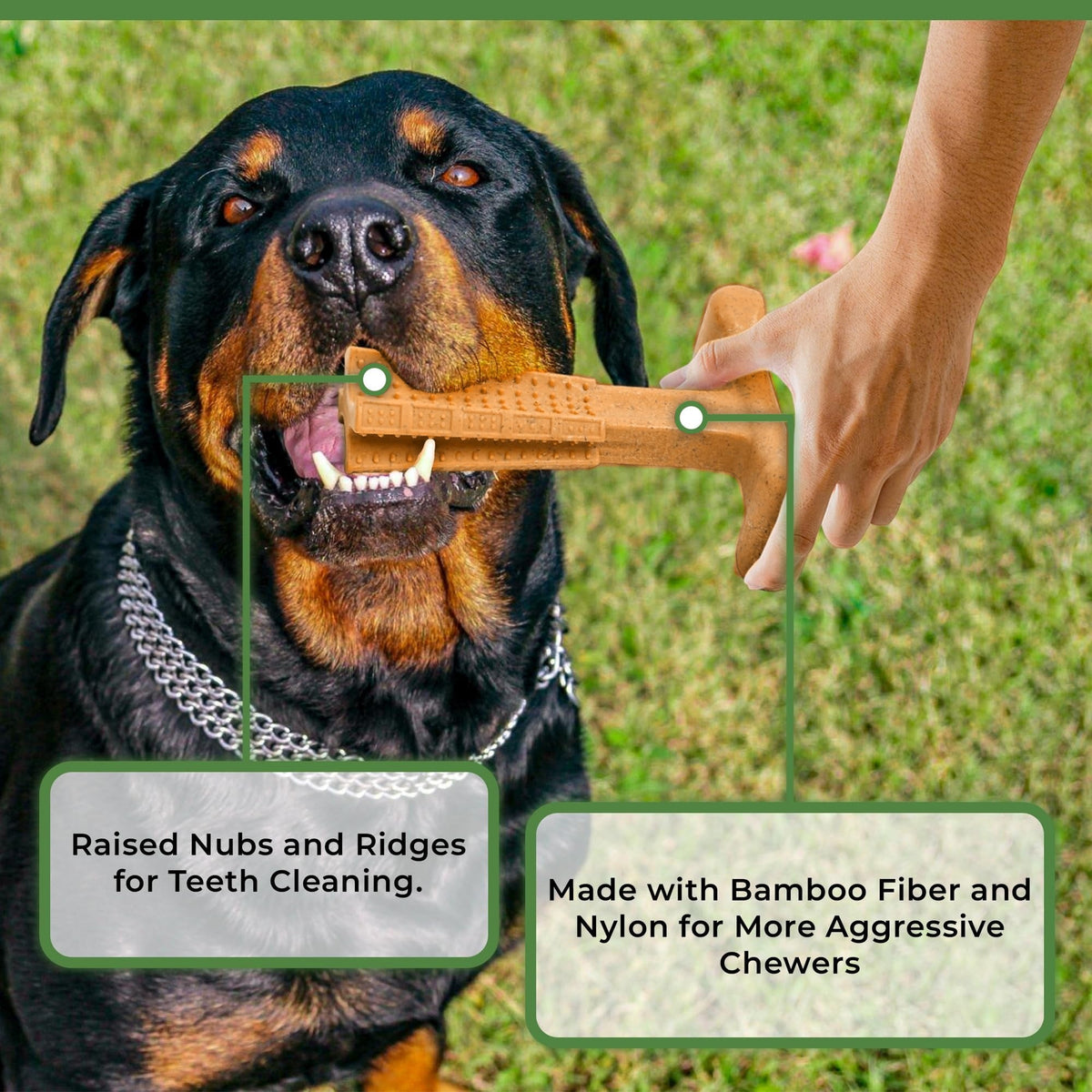 Dog Dental Chew Toy T-Shape with Textured Ridges & Ergonomic Grip | Non-Splintering Durable Chew Toy for Aggressive Chewers, Teething Puppies & Adult Dogs - product image 7