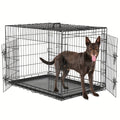 36 Inch Carry-along Reinforced Kennel for Indoor & Outdoor Use | Folding Metal Dog Crate with Divider & Removable Tray - product image 2