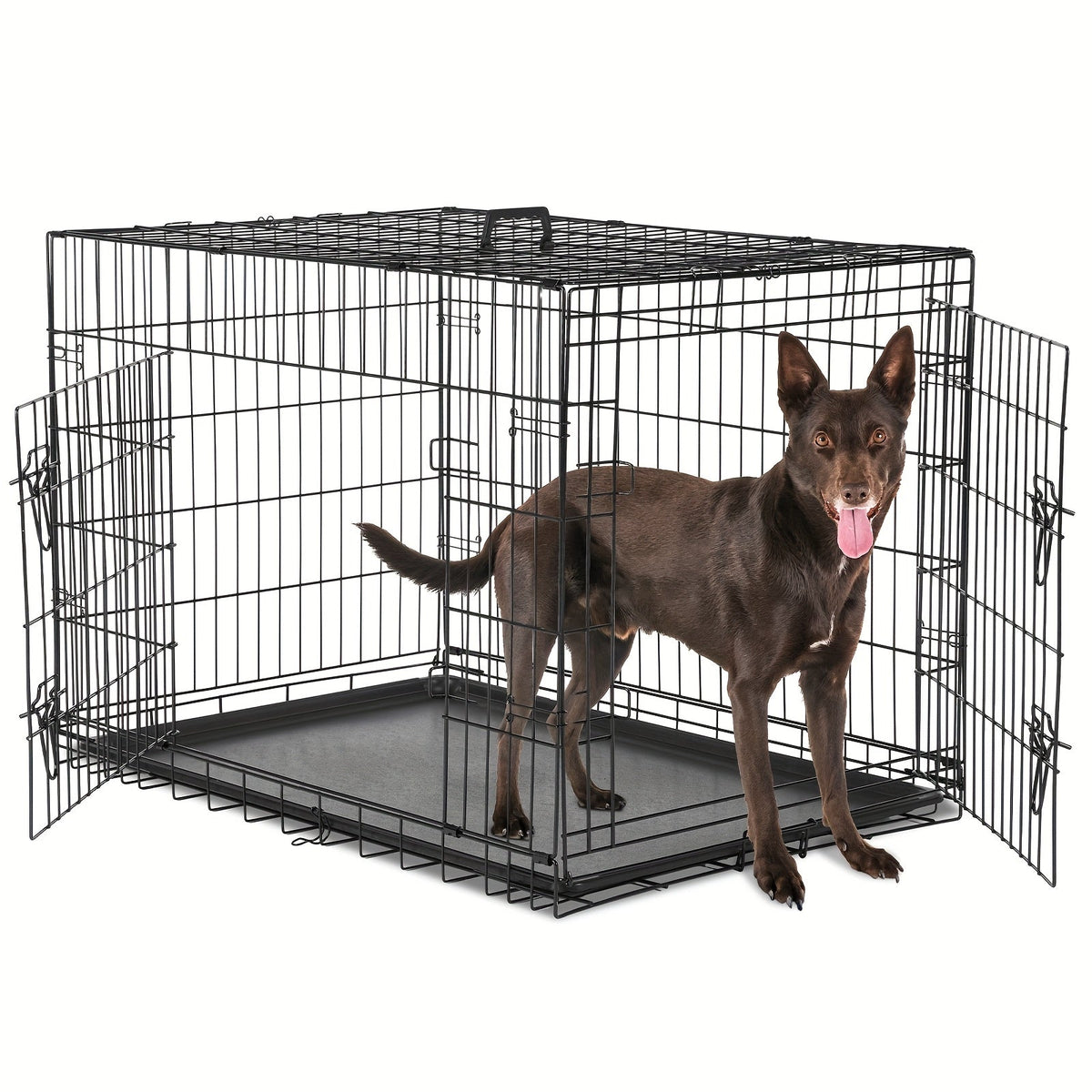 36 Inch Carry-along Reinforced Kennel for Indoor & Outdoor Use | Folding Metal Dog Crate with Divider & Removable Tray - product image 2