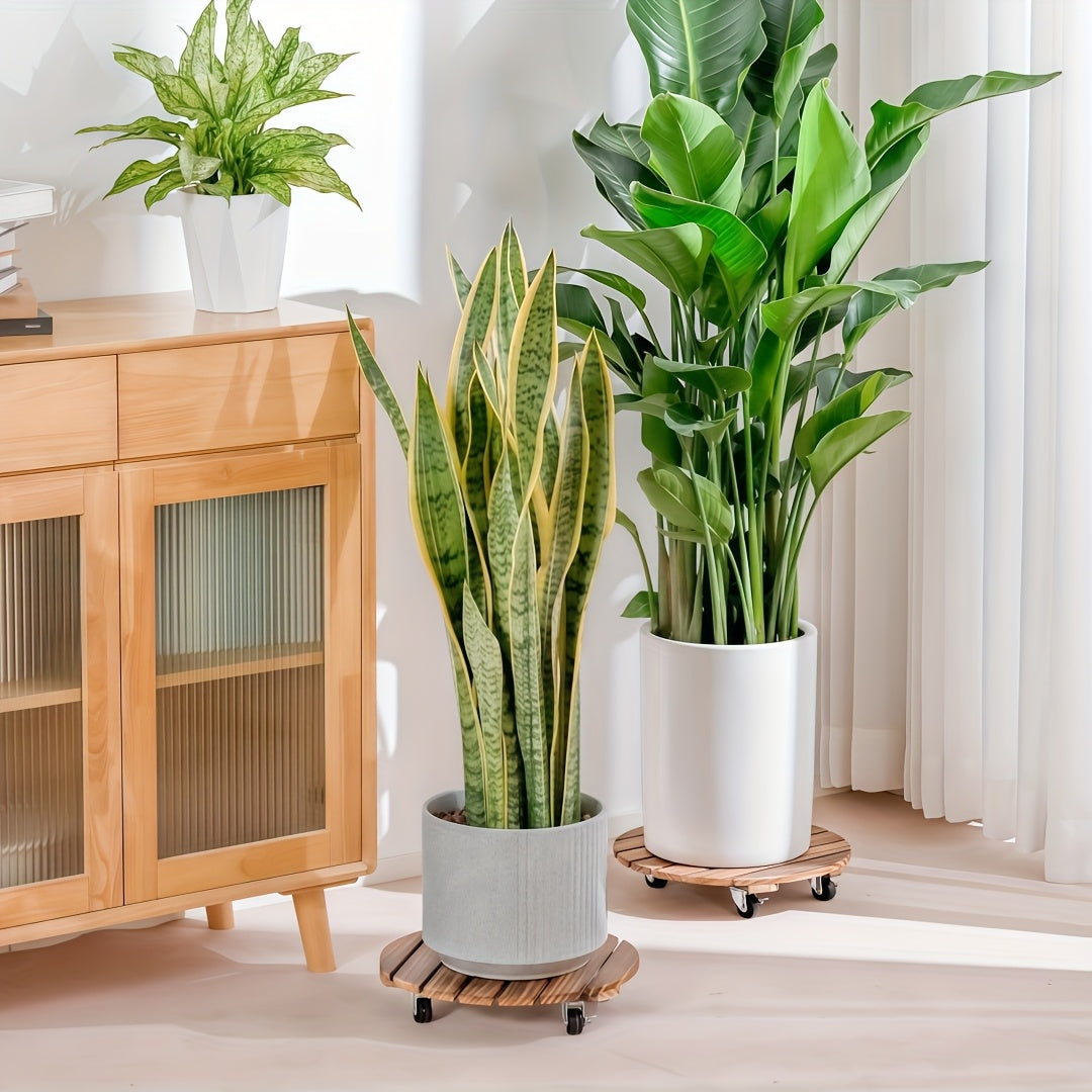 4 pcs Acacia Wood Rolling Round Plant Caddy for Plant Pots, Heavy Duty Plant Stand with 360° Lockable Wheels, 360Lbs Capacity Caddy for Indoor and Outdoor Use - product image 8