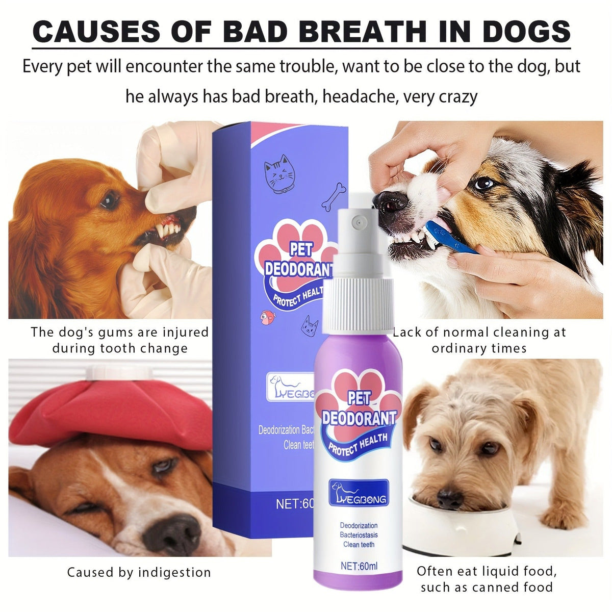 Pet Dental Spray for Dogs & Cats | Teeth Cleaning & Bad Breath Freshener, No-Brush Oral Care Spray for Plaque & Tartar Control, Safe Daily Use - product image 6