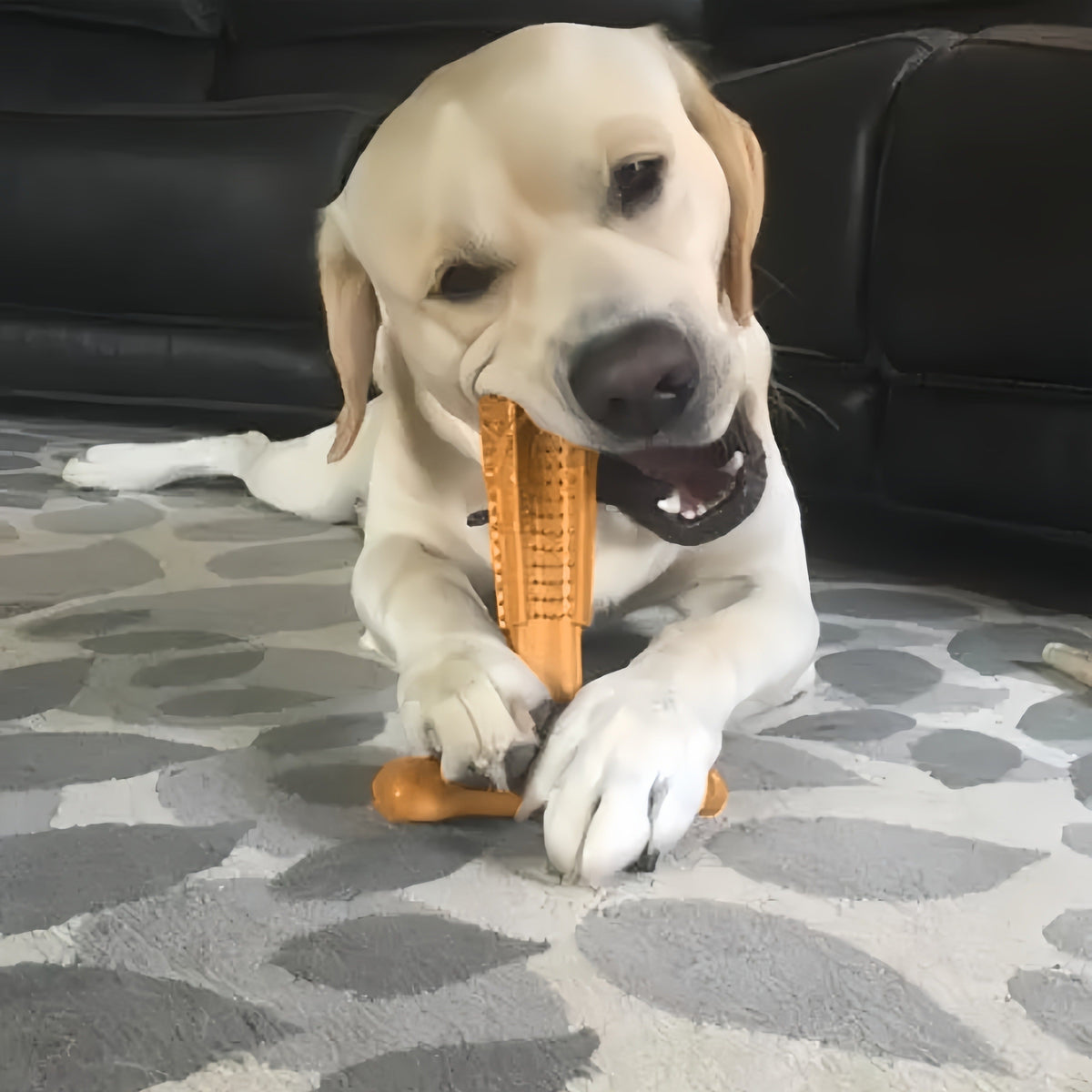 Dog Dental Chew Toy T-Shape with Textured Ridges & Ergonomic Grip | Non-Splintering Durable Chew Toy for Aggressive Chewers, Teething Puppies & Adult Dogs - product image 8
