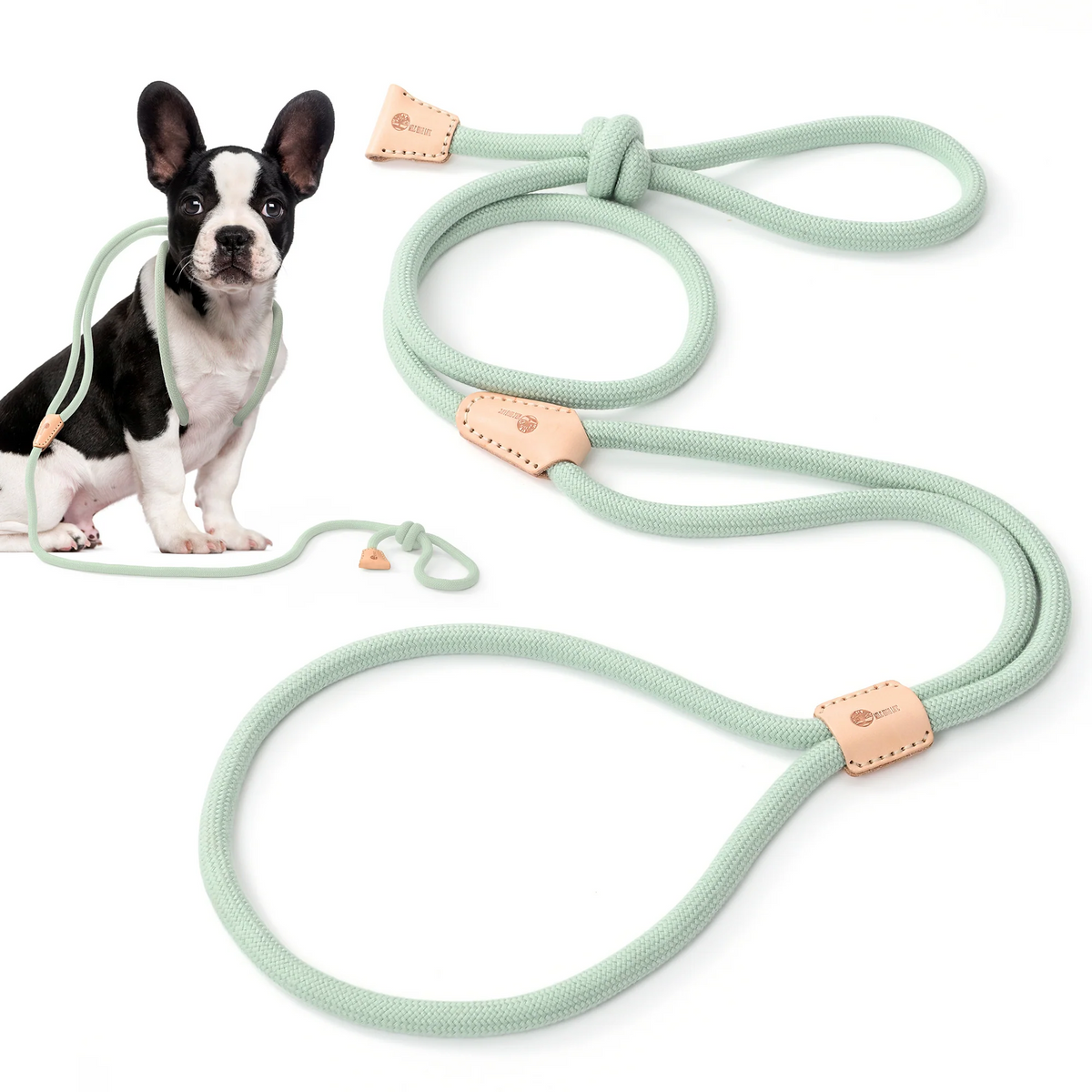 No Pull All-in-One Training Leash for Puppies & Small Dogs, Adjustable Slip Lead with Soft Rope, Secure Control for Walking & Training – Dog Slip Leash and - product image 13