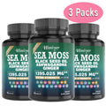 Sea Moss Capsules 3-Pack 180 Count with Black Seed Oil, Ashwagandha, Turmeric & Bladderwrack - Multimineral Thyroid, Immune, Gut & Anti-Inflammatory Wellness Blend with Vitamin C D - product image 8