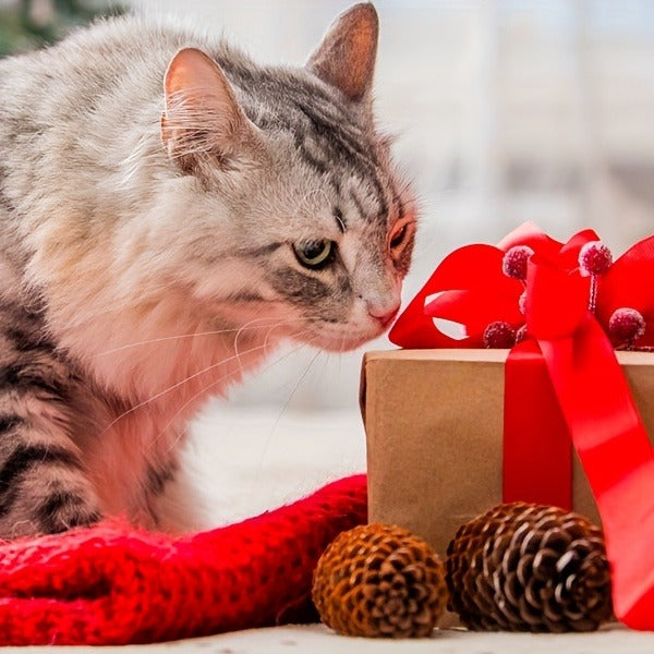 Cat Teaser Toy 7-in-1 USB Rechargeable – Interactive Wand Toy for Indoor Cats & Dogs, Feather Chaser Exercise Toy with Free Bonus Mouse Toy, Stimulating Chase - product image 7