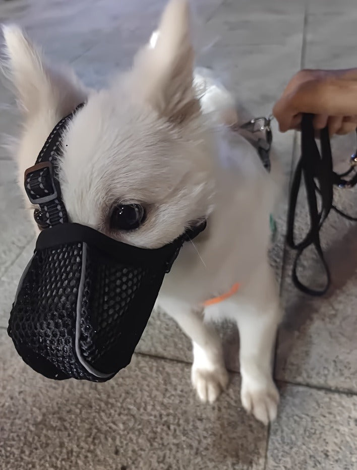 Dog Muzzle Reflective Mesh 2 Pack Anti-Bite Full Coverage with Adjustable Straps – Sizes M L XL XXL – Soft Breathable Polyester Dog Mask for Grooming Vet - product image 14