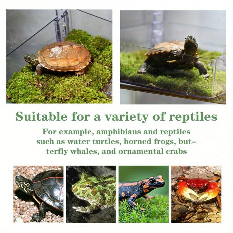 Turtle Basking Platform Acrylic Floating Island | Adjustable Height Climbing Dock with Integrated Ladder | Transparent Perforated Design, Non-Toxic, S/M/L - product image 9