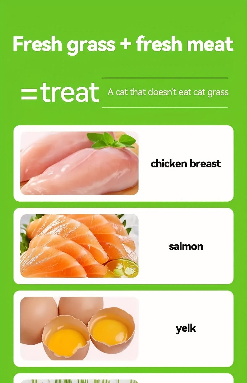 Cat Grass Pellets Freeze-Dried 150g | Mint Flavor Hairball Control Granules, Natural Chewing & Teeth Grinding Snack for Cats, Digestive Support Cat Treat - product image 13