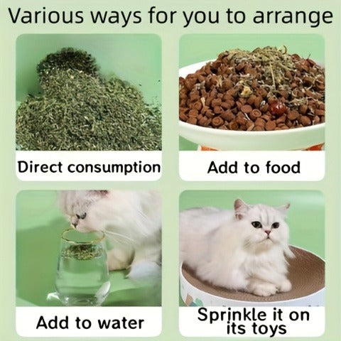 Dried Herb Snacks for Cats to Aid Digestion, Reduce Hairballs & Stress, Promote Oral Health and Stimulate Natural Instincts | Natural Cat Treats 100g - product image 3