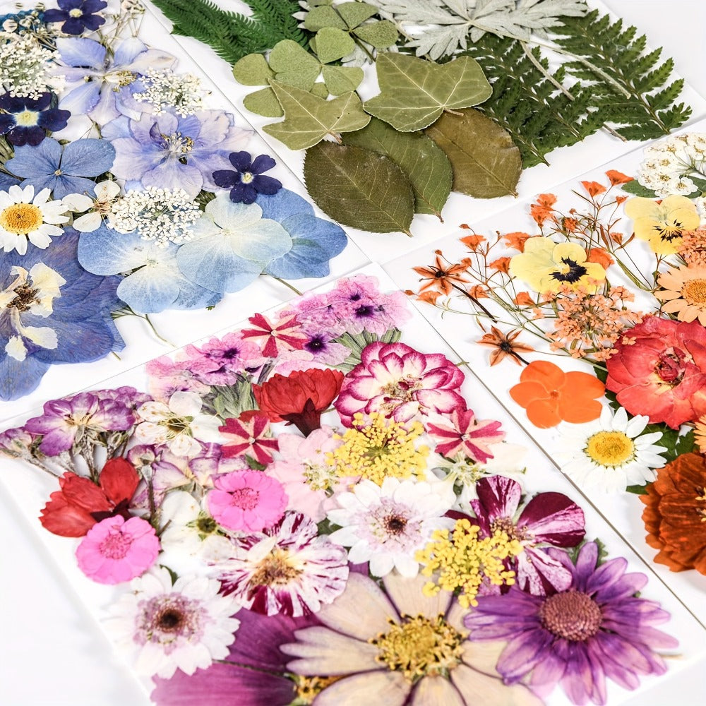 Dried Flowers Set 110 Pieces Vibrant Dried Flowers and Leaves for DIY Crafts Resin Jewelry Making Phone Case Candle Making Scrapbooking Epoxy Art Floral Decoration Nature Pressed F - product image 4
