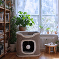 Cat Tree Tower Multi-Level Collapsible | Indoor Cat House with Scratch Resistant Post, Soft Top Cat Bed, Cat Hideaway & Bell Ball Toy, 1 2 3 Layer Cat Climbing - product image 3