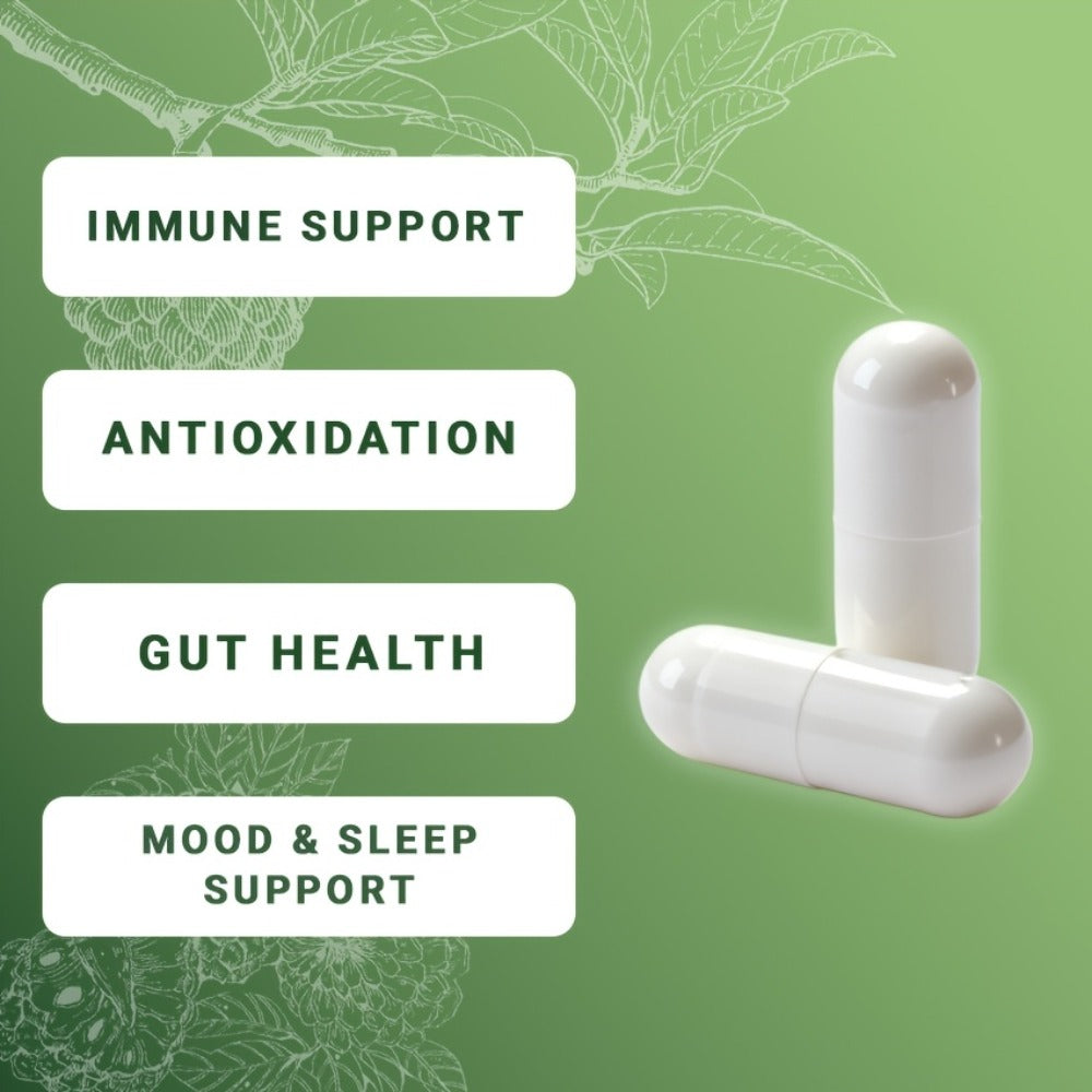 Sea Moss Capsules 24-in-1 with Soursop, Lion's Mane, Shilajit & 20 More Superfoods — Gut Health, Immune Support, Brain & Antioxidant Defense Formula for Women & Men - product image 11